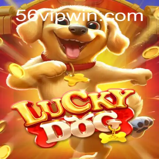LuckyDog: The Exciting World of Chance